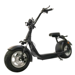 City E-Cruiser Style električni skuter 1000 W - NOV MODEL
