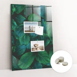 tulup.si Magnetna tabla Veliki tropski listi 70x100 cm