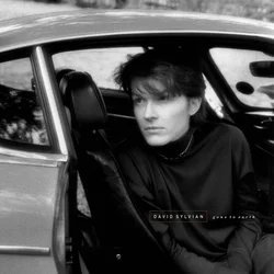 David Sylvian - Gone To Earth (Reissue) (2 LP)