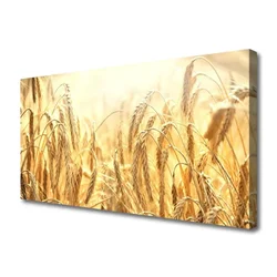 tulup.si Slika na platnu Klasje field narave 125x50 cm