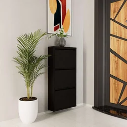 Hanah Home Cipelarnik, 50x103x15 cm, Crni