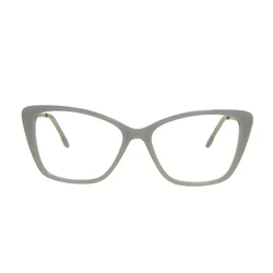 Berkeley Naočare BB WP86008 C5