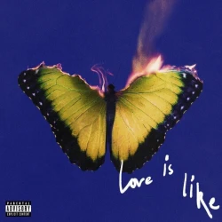 Maroon 5 - Love Is Like (CD)
