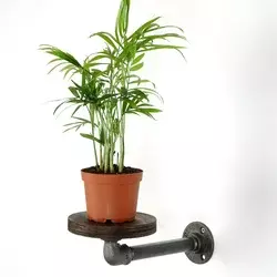 Aberto Design Držač za cveće BORURAF259, 35x12x10 cm