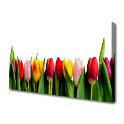 tulup.si Slika na platnu Rastlin tulipani 125x50 cm