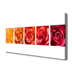 tulup.si Slika na platnu Roses flowers rastlin 100x50 cm