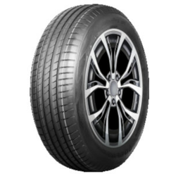 Delmax UltimaPro UP1 ( 205/55 R16 91V )