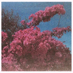 Elisabeth Klinck - Picture A Frame (LP)