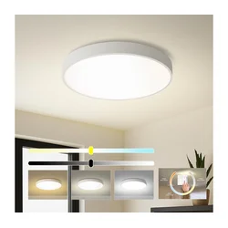 Brilagi - LED plafonsko svetlo POOL LED/60W/230V 3000/4500/6000K O 60 cm belo