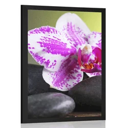 Plakat orhideja in črni kamni - 30x45 no frame