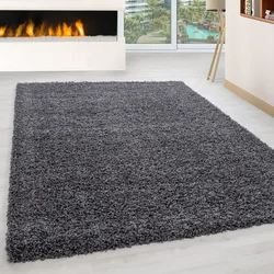 Conceptum Hypnose Tepih 200x290cm Tamnosivi