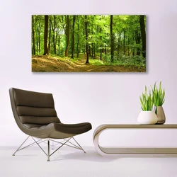 tulup.si Steklena slika Forest narava pot 140x70 cm 4 obešalnika