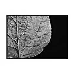 shumee PLAKAT ZA SLIKE V OKVIRJU 43x33 cm List P908