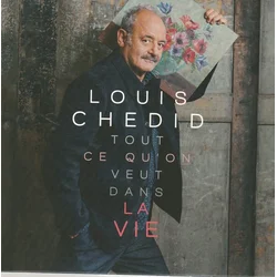 Louis Chedid - Tout Ce Quon Veut Dans La Vie (LP)