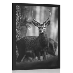 Plakat jelen v gozdu v črnobeli varianti - 40x60 silver