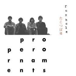 The Proper Ornaments - Foxhole (LP)