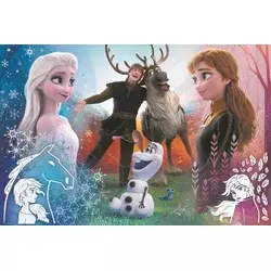 Tref line 23006 puzzle 300 froze ( t30062 )