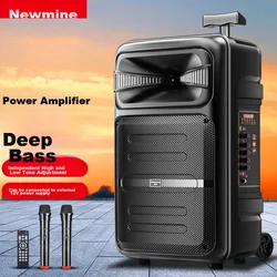 Newmine Bluetooth karaoke zvučnik sa 2 mikrofona A12, 3600 mAh, Crni