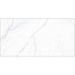 Elegance Marble White Pulido 60x120