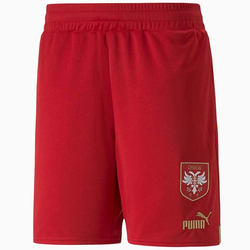 SORC PUMA FSS SHORTS REPLICA Puma - 765770-01-XL