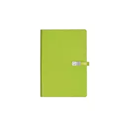 ALICANTE Notes sa magnetnim preklopom A5 Apple green