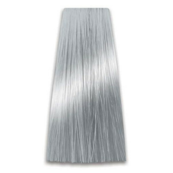 Srebrno sivi toner COLORART PROSALON - 100g - Kozmo Shop Online
