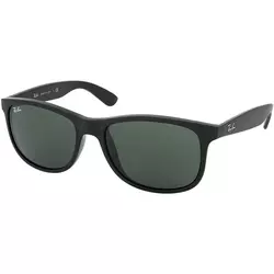 RAY-BAN sončna očala RB4202-606971