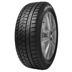 GOLDLINE GLW1 Zimska gume 205/60R16 92H