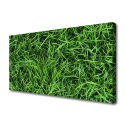 tulup.si Slika na platnu Trava lawn 100x50 cm