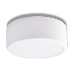 Plafonsko svetlo CLEO 1xE27/24W/230V prečnika 20 cm belo