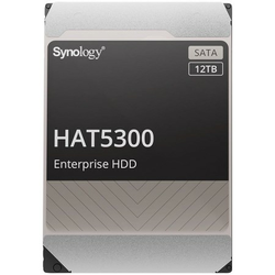 Synology 12TB HAT5300-12T