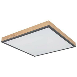 Globo 416080WD2-CCT - LED prigušiva stropna svetiljka DORO 24W/230V 3000-6500K 45x45 cm