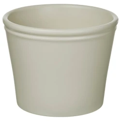 KÖRSBÄRSBJÖRK Saksija, svetlosiva/bež, 12 cm