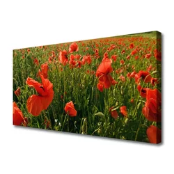 tulup.si Slika na platnu Rastlinskih mak naravi 100x50 cm