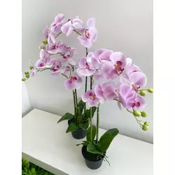 Orhideja u posudi, pink-80cm-tri grane