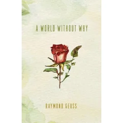 World without Why
