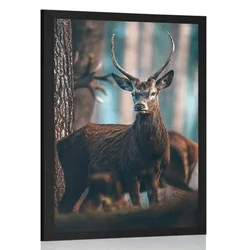 Plakat jelen v gozdu - 40x60 no frame