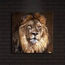 Wallity Slika na platnu sa LED osvetljenjem 40x40cm