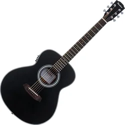 Pasadena PT-100E Black Ostale elektroakustične (Kot novo)