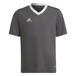 Adidas Majice siva Entrada 22 Jsy