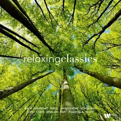 Various Artists - Relaxing Classic (LP)