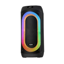 Zvucnik bluetooth ndr-818 60w 2*8 inca sa dva mikrofona crni ( ZV1320 )
