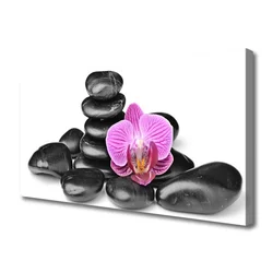 tulup.si Slika na platnu Flower stones art 100x50 cm