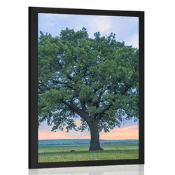 Plakat samotno drevo - 40x60 no frame