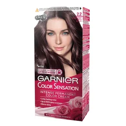 Garnier Color Sensation farba za kosu 2.2