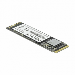 SSD disk 256 GB NVME Delock