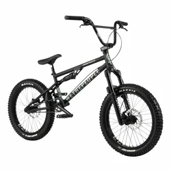 Wethepeople The Swamp Master 20 BMX Matt Black