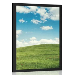 Plakat čudoviti dan na travniku - 30x45 silver