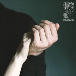 Birds In Row - We Already Lost The World (LP)