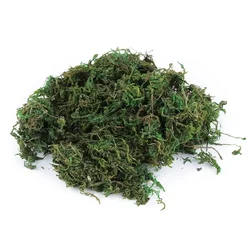 Okrasni naravni mah 250 g - zeleni